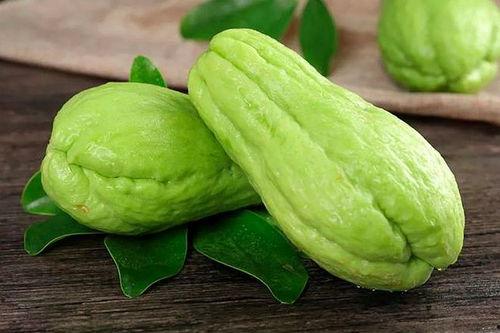 天津美达菲吃瓜,一场吃瓜群众的狂欢与反思