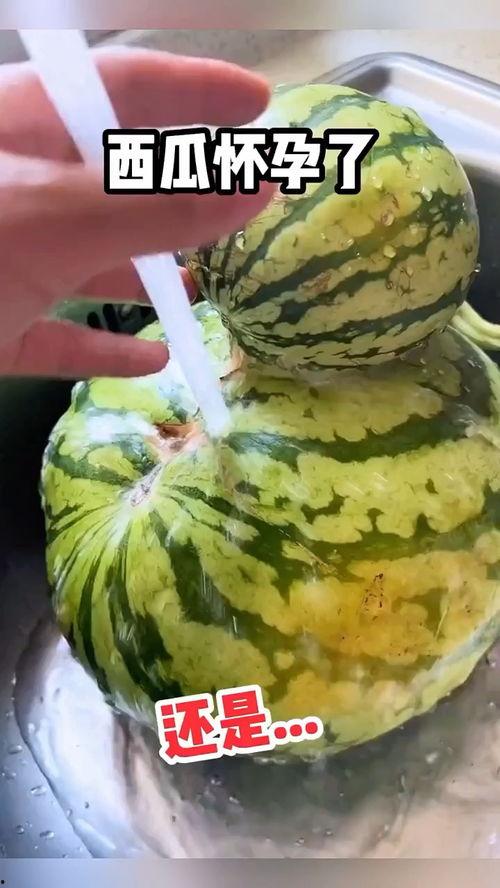 东北搞笑吃瓜,笑料横飞，趣味无限！