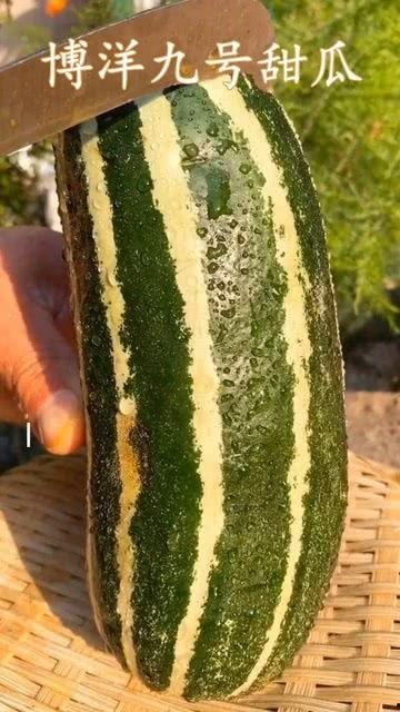 梦见瓜腐烂但没有吃,瓜果腐烂未食的寓意与启示