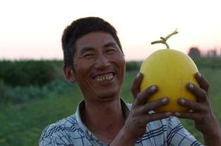 阿里巴巴 吃瓜,吃瓜群众眼中的电商巨头