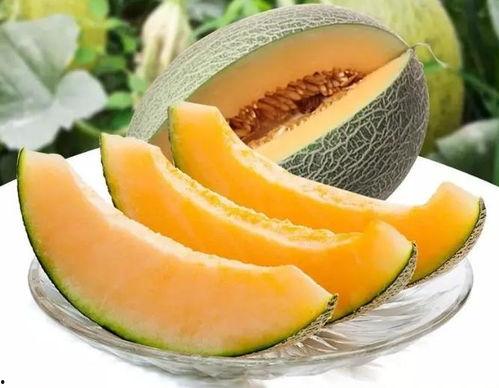 瓜州哪里可以免费吃瓜,免费瓜果盛宴，尽享清凉夏日