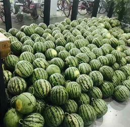 合江校园吃瓜,吃瓜群众的热议焦点