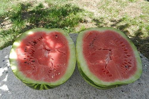 梦见自己瓜地吃瓜,揭秘瓜地吃瓜的神秘寓意