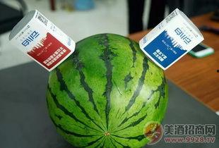 酒后可以吃小白瓜,小白瓜助您轻松恢复