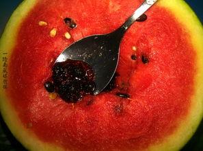 这些奇葩名字带你吃瓜